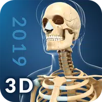 My Skeleton Anatomy APK