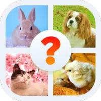 Animal Name: Male, Female, & Young (Animal Game) Apk