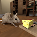 Stray Mouse Family Simulator Apk