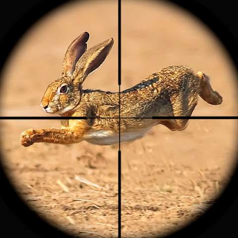 Rabbit Game Sniper Shooting Apk