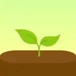 Forest Apk