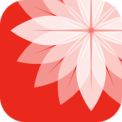 Gallery: Photo Editor, Collage Apk