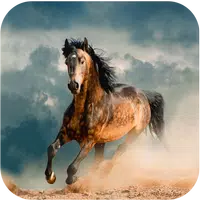 Horse Wallpapers Apk