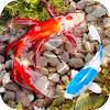 3D Fish Tank Live Wallpaper Apk