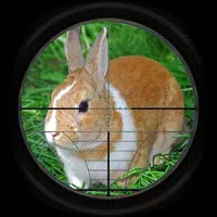 Rabbit Hunting 3D APK