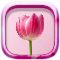 Picture Puzzle: Flowers APK