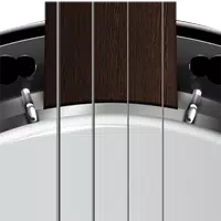 Real Banjo - Banjo Simulator APK