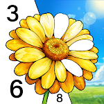 Color Oasis APK