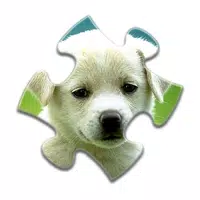 Animal Jigsaw Puzzles APK