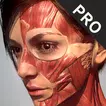 Action Anatomy Pro Apk