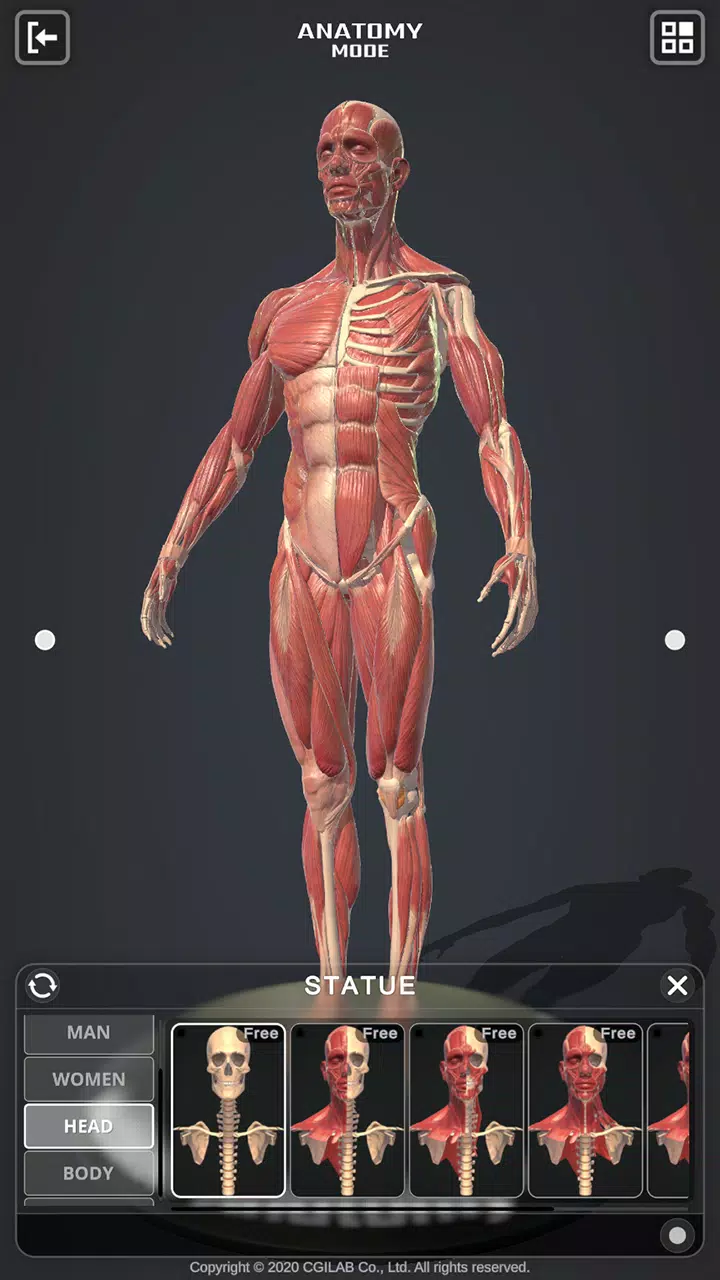 Action Anatomy Pro Screenshot6