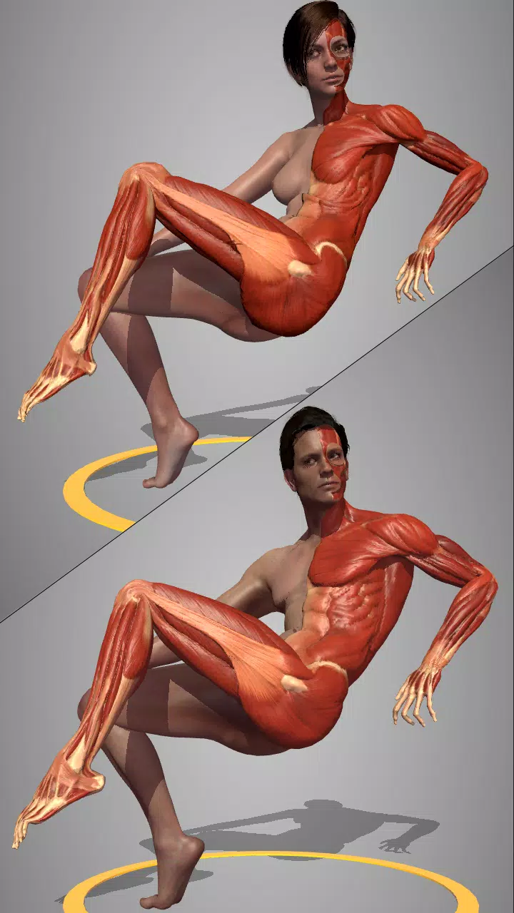 Action Anatomy Pro Screenshot3