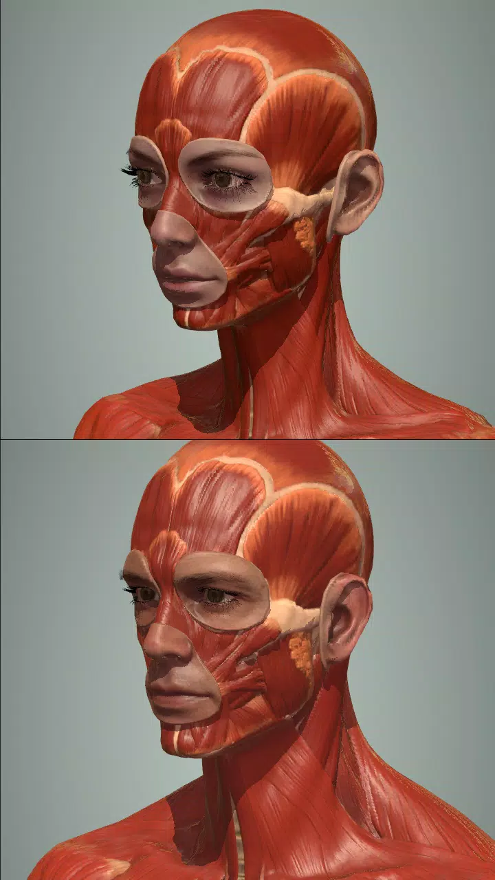 Action Anatomy Pro Screenshot2