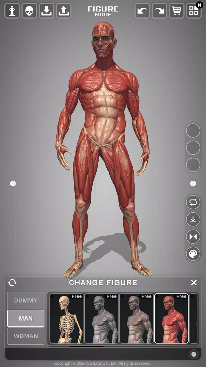 Action Anatomy Pro Screenshot4