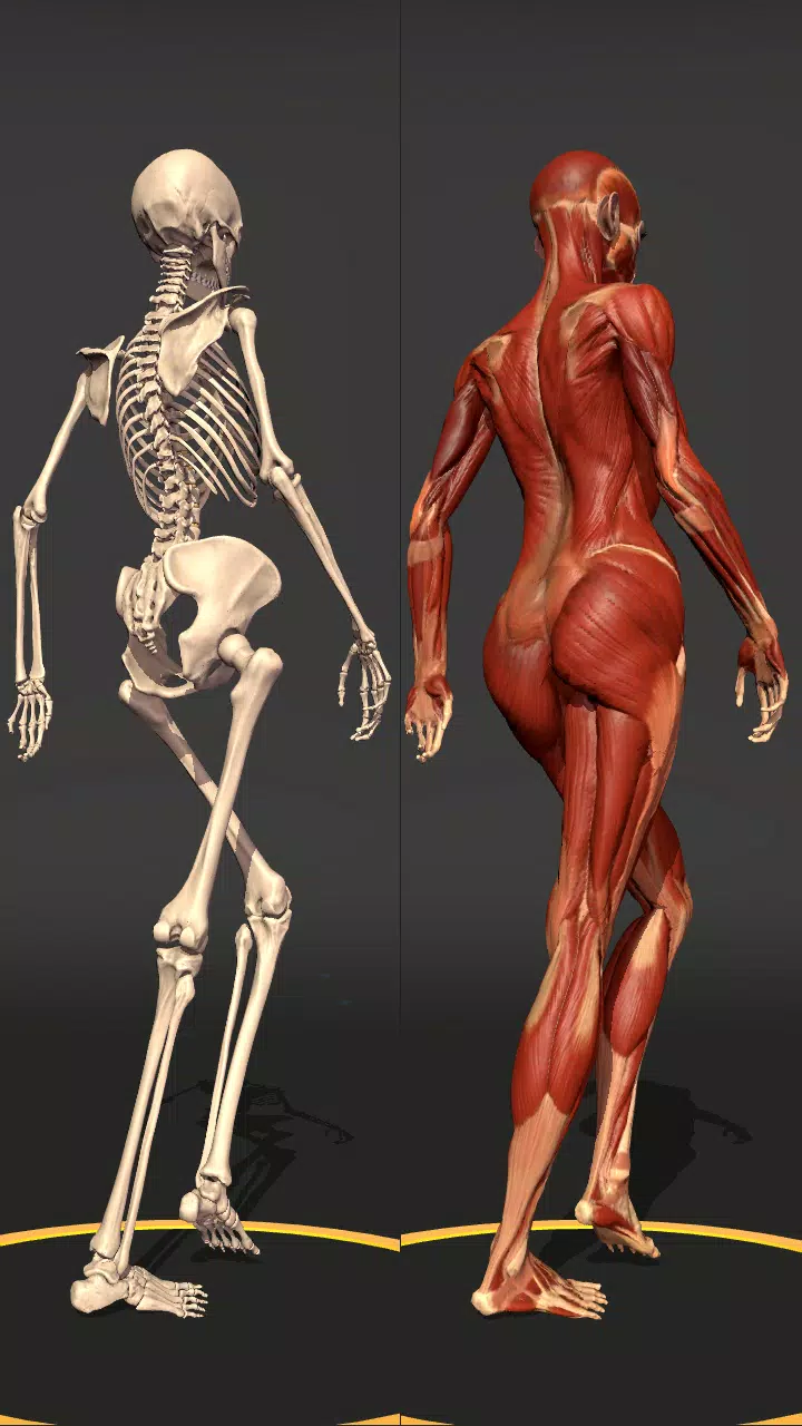 Action Anatomy Pro Screenshot5